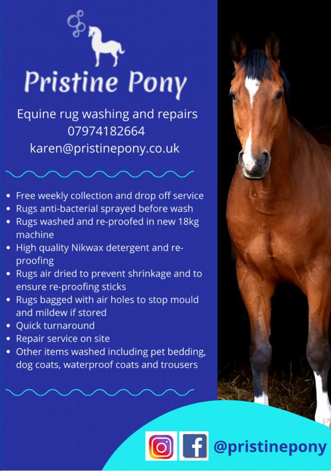 Pristine Pony Rug Washing and Repair Service